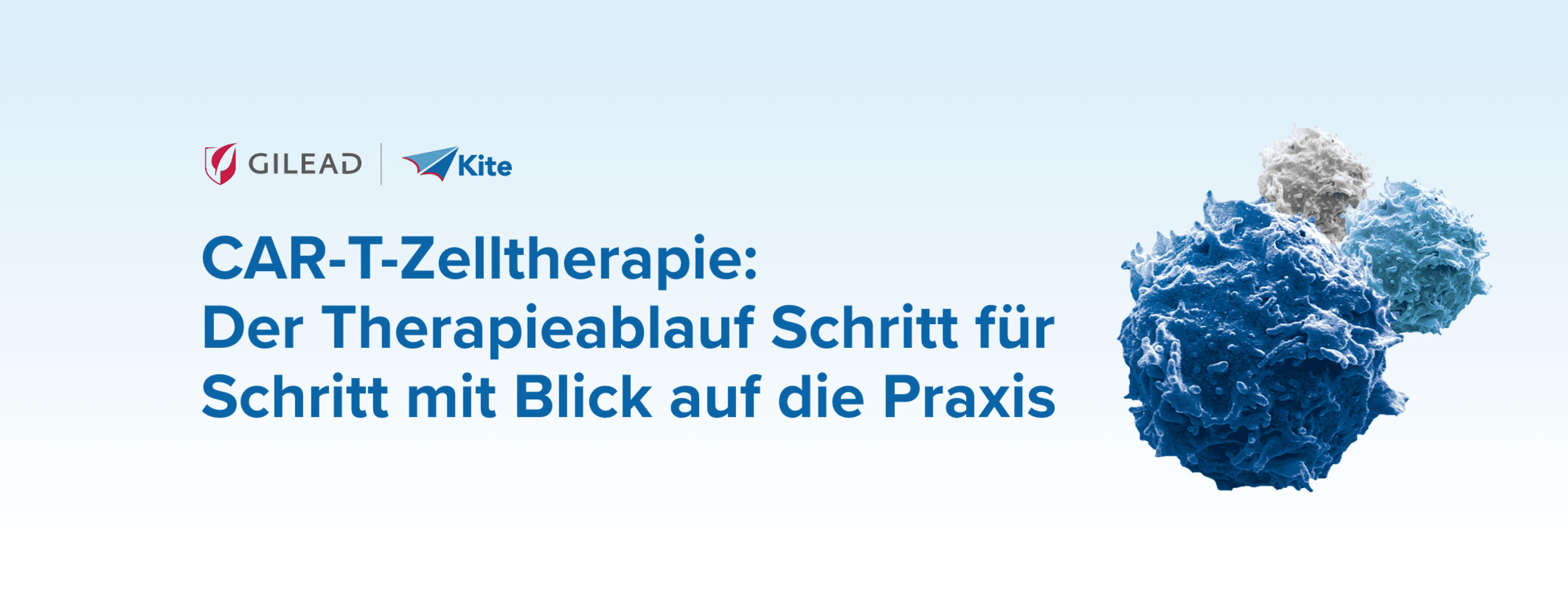 pgiyek24001zelltherapieheaderbanner4