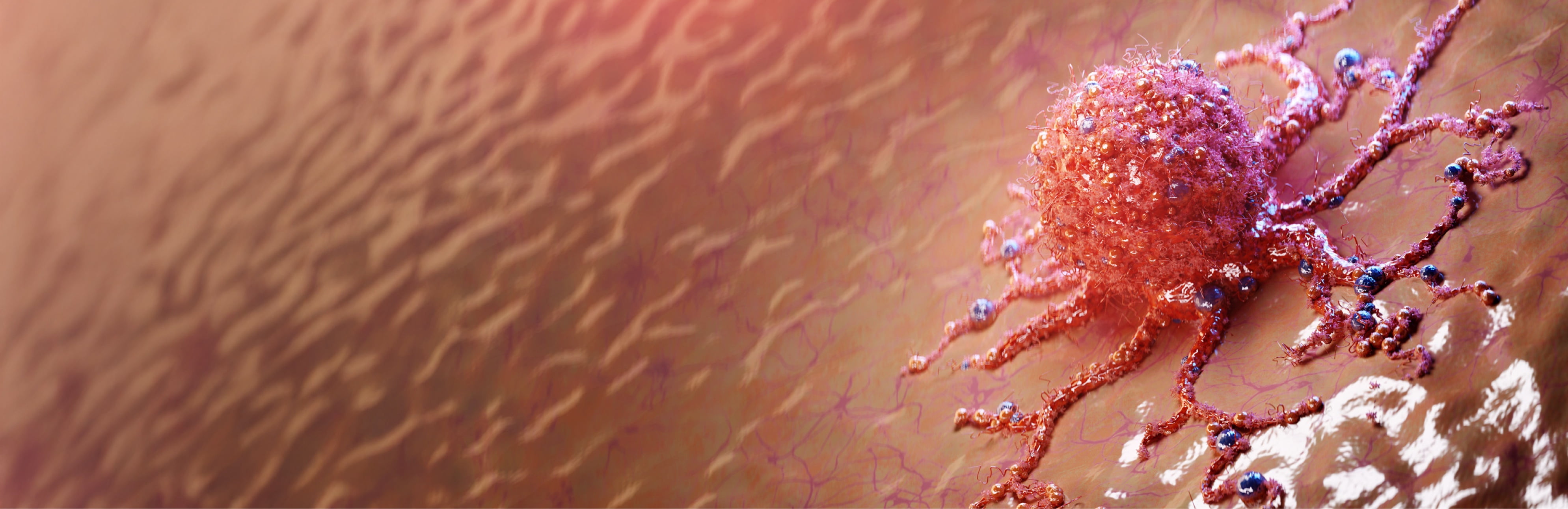 onkology gallery banner